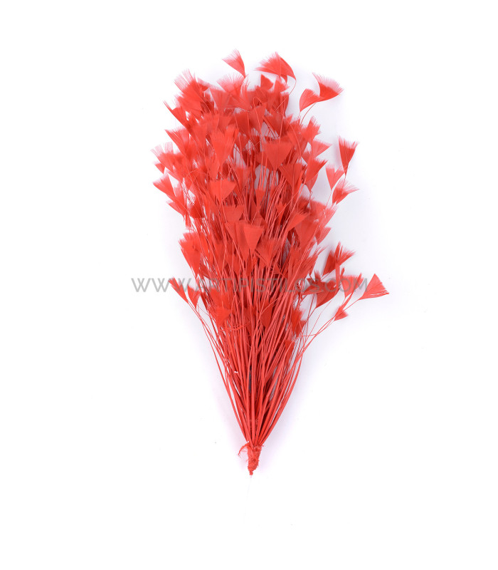 ASSEMBLAGE DE PLUMES DE COQ