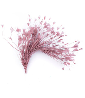 Montage de plumes de coq 35 x 9 cm