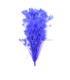 ASSEMBLAGE DE PLUMES DE COQ