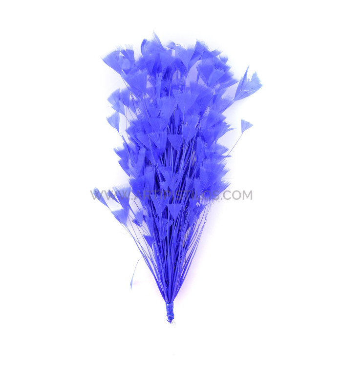 ASSEMBLAGE DE PLUMES DE COQ
