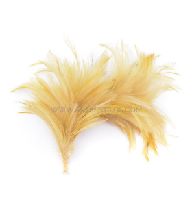 ASSEMBLAGE DE PLUMES DE COU DE CORBEAU