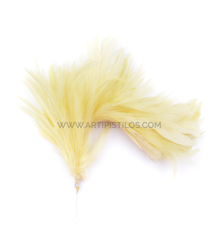 ASSEMBLAGE DE PLUMES DE COU DE CORBEAU