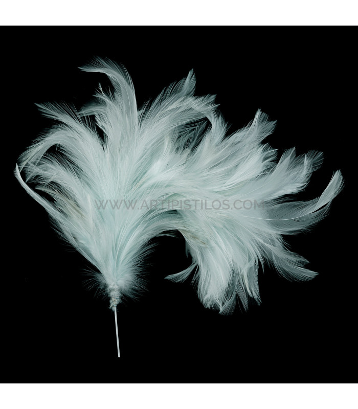 ASSEMBLAGE DE PLUMES DE COU DE CORBEAU