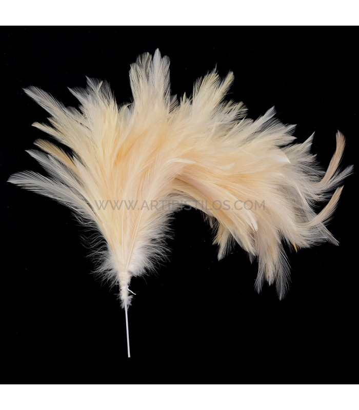 ASSEMBLAGE DE PLUMES DE COU DE CORBEAU