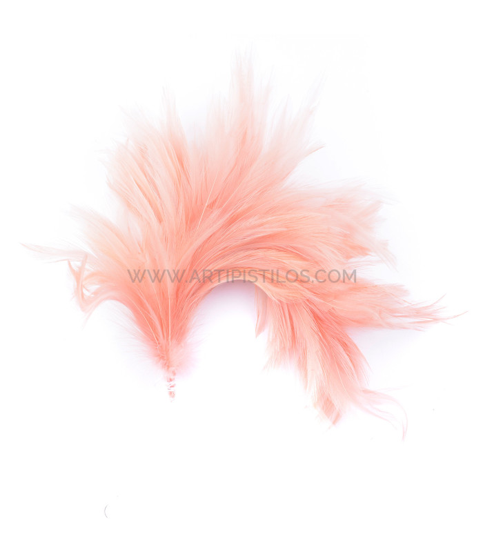 ASSEMBLAGE DE PLUMES DE COU DE CORBEAU