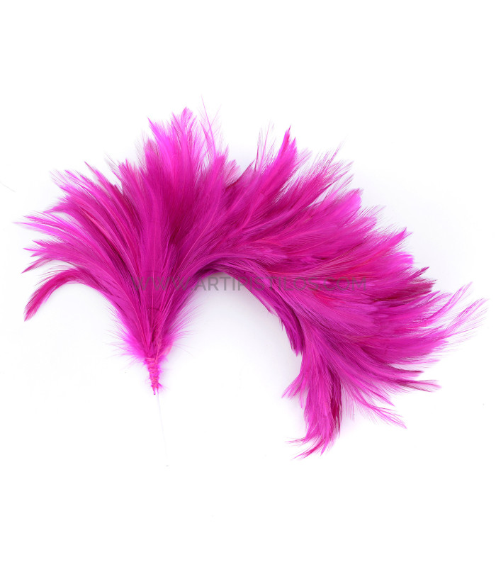 ASSEMBLAGE DE PLUMES DE COU DE CORBEAU