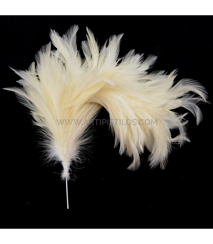 ASSEMBLAGE DE PLUMES DE COU DE CORBEAU