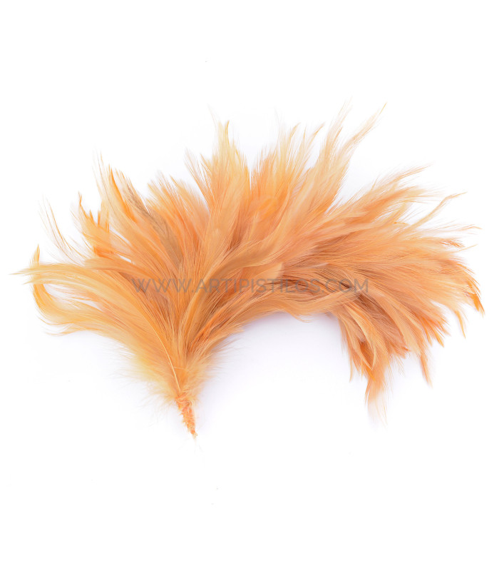 ASSEMBLAGE DE PLUMES DE COU DE CORBEAU