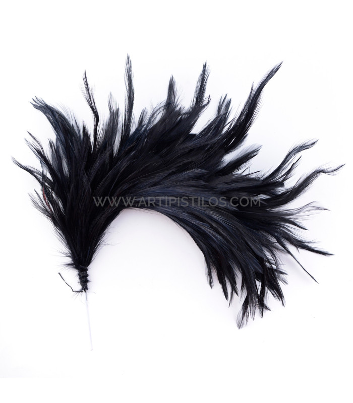 ASSEMBLAGE DE PLUMES DE COU DE CORBEAU