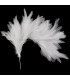 ASSEMBLAGE DE PLUMES DE COU DE CORBEAU