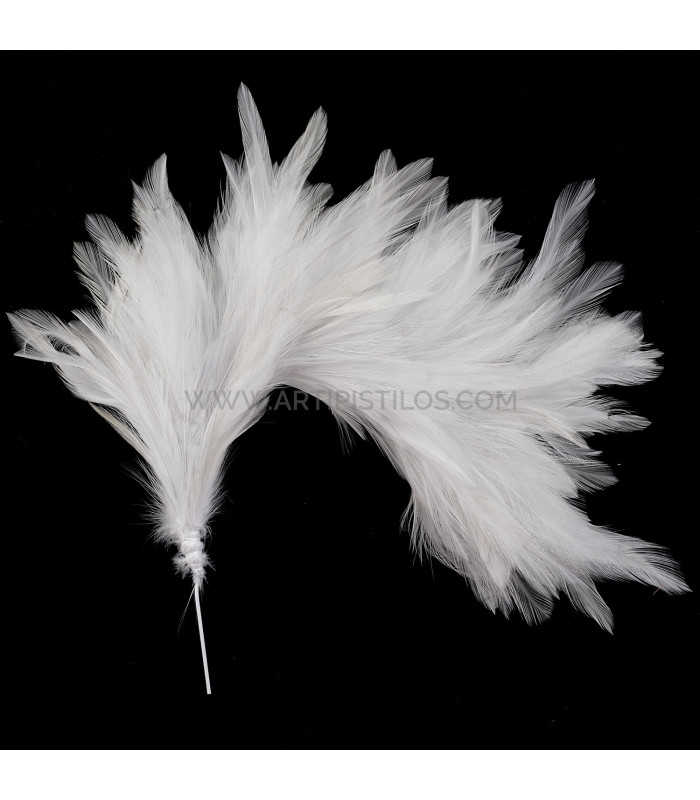 ASSEMBLAGE DE PLUMES DE COU DE CORBEAU