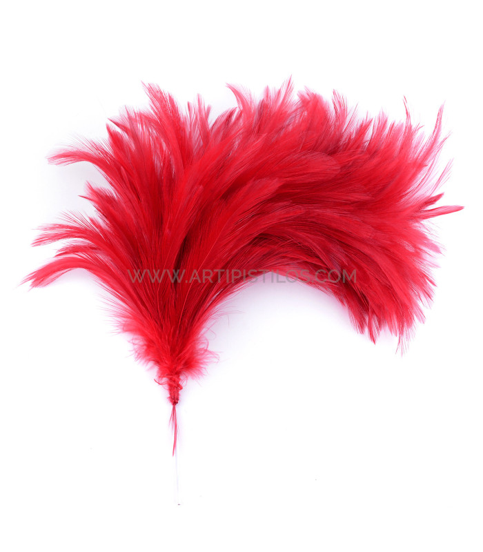 ASSEMBLAGE DE PLUMES DE COU DE CORBEAU