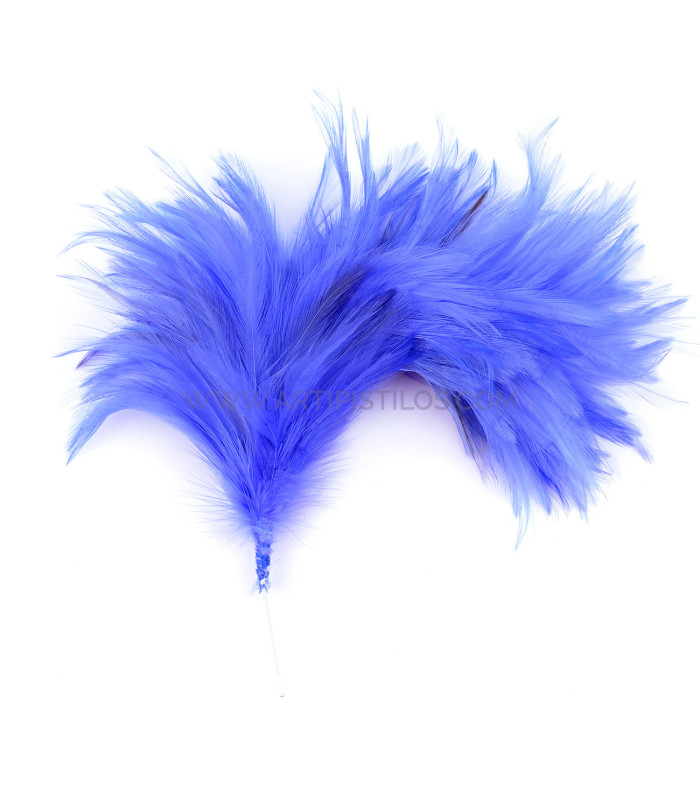 ASSEMBLAGE DE PLUMES DE COU DE CORBEAU