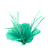 ASSEMBLAGE DE PLUMES DE CANARD ET D'OIE BIOT