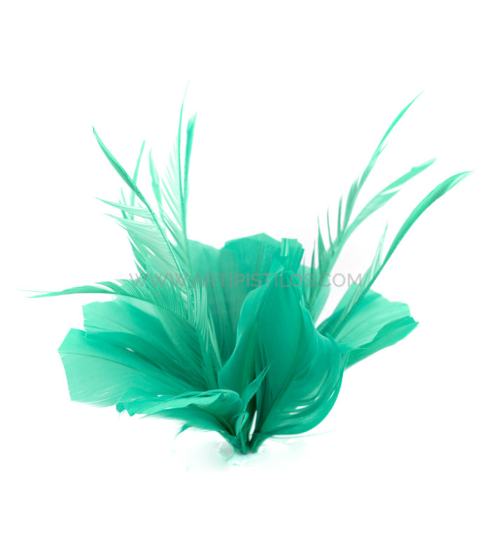 ASSEMBLAGE DE PLUMES DE CANARD ET D'OIE BIOT