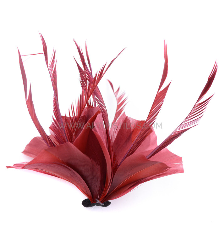 ASSEMBLAGE DE PLUMES DE CANARD ET D'OIE BIOT