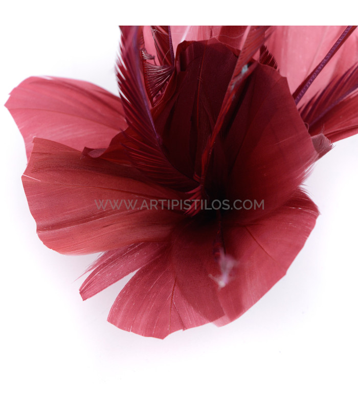 ASSEMBLAGE DE PLUMES DE CANARD ET D'OIE BIOT