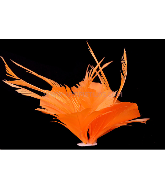 ASSEMBLAGE DE PLUMES DE CANARD ET D'OIE BIOT