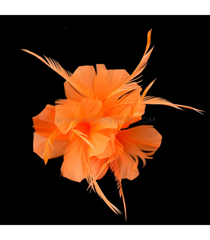 ASSEMBLAGE DE PLUMES DE CANARD ET D'OIE BIOT