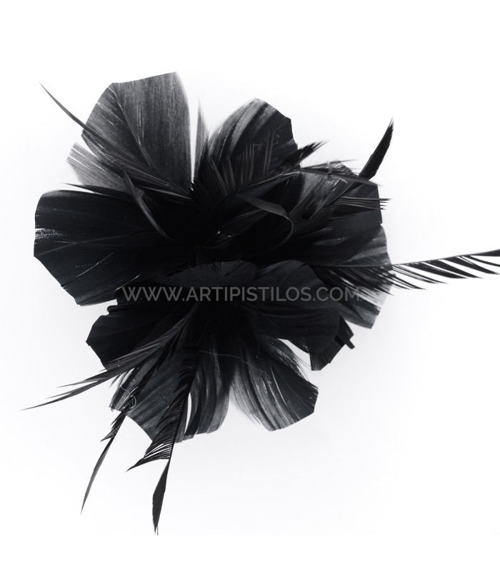 ASSEMBLAGE DE PLUMES DE CANARD ET D'OIE BIOT