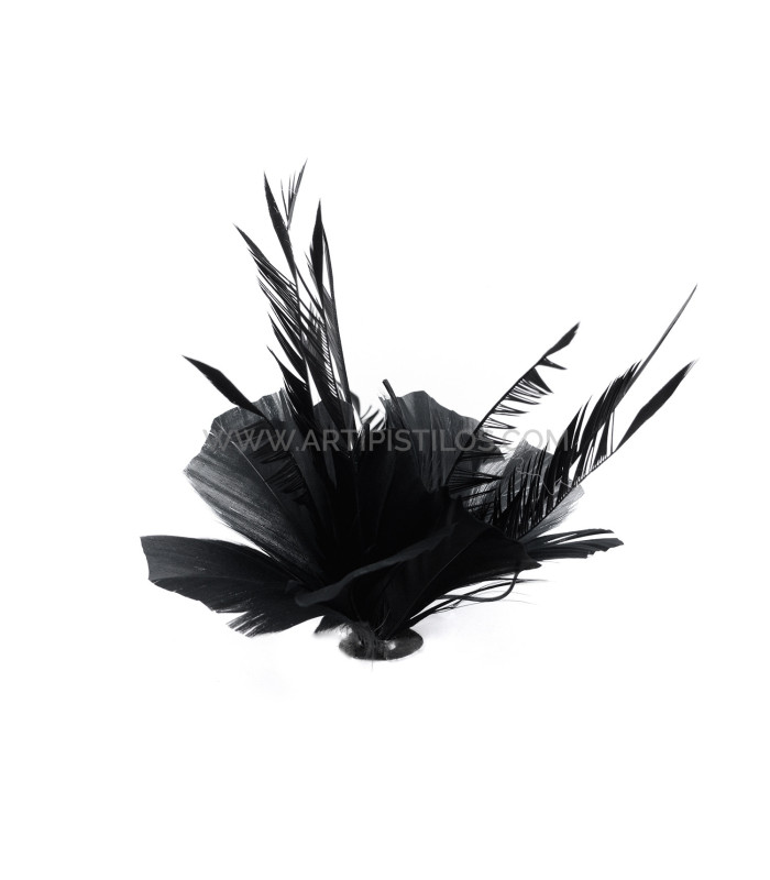 ASSEMBLAGE DE PLUMES DE CANARD ET D'OIE BIOT