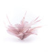ASSEMBLAGE DE PLUMES DE CANARD ET D'OIE BIOT