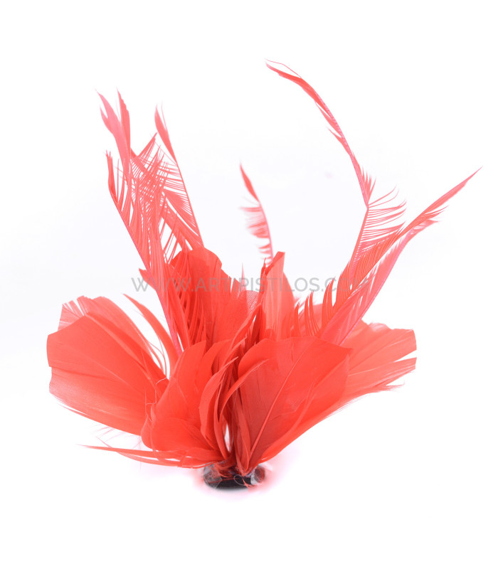 ASSEMBLAGE DE PLUMES DE CANARD ET D'OIE BIOT