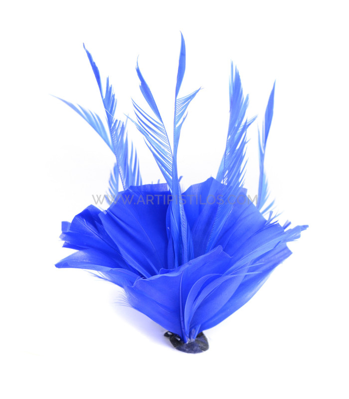 ASSEMBLAGE DE PLUMES DE CANARD ET D'OIE BIOT