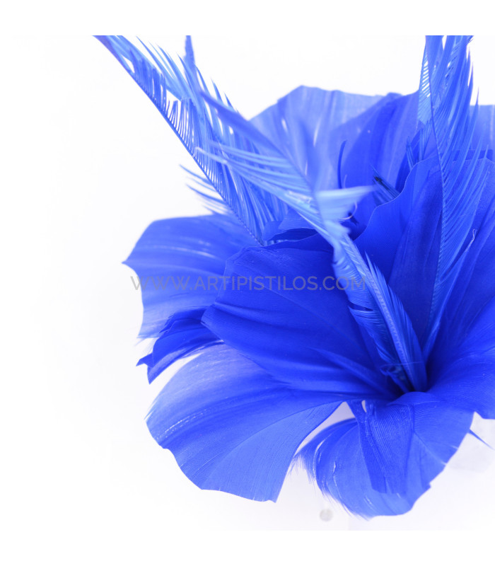 ASSEMBLAGE DE PLUMES DE CANARD ET D'OIE BIOT