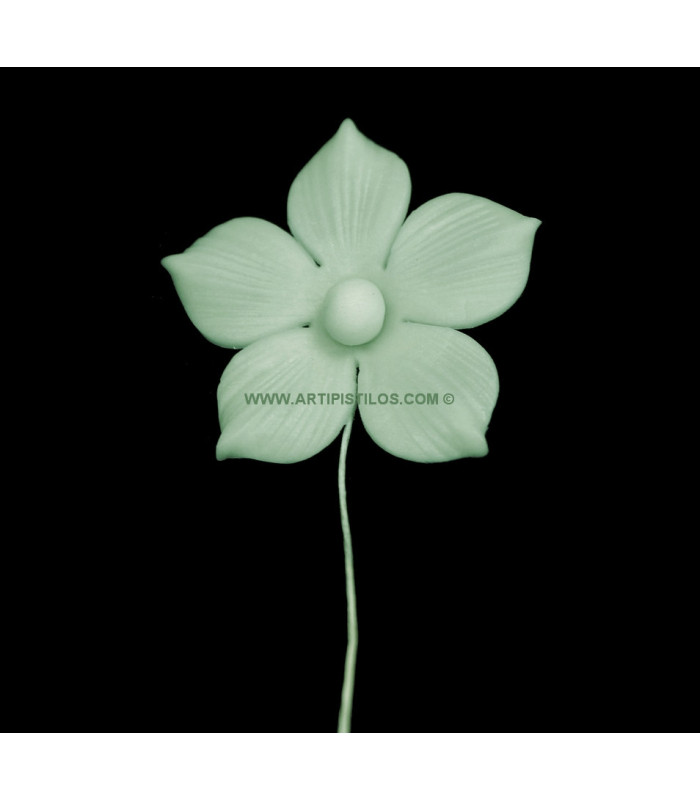 FLEUR DE PORCELAINE FROID