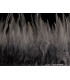 FRANGE DE PLUMES DE COQ 10 CMS.