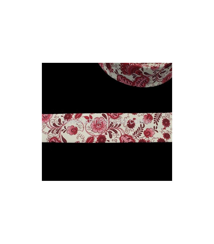 BIAIS VIELLA 3 CMS.