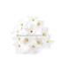 FLEUR DE PORCELAINE FROIDE 2,5 CM