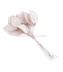 TÔLE DE PORCELLANE FROIDE 3x1,6 CM