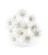 FLEUR DE PORCELAINE FROIDE