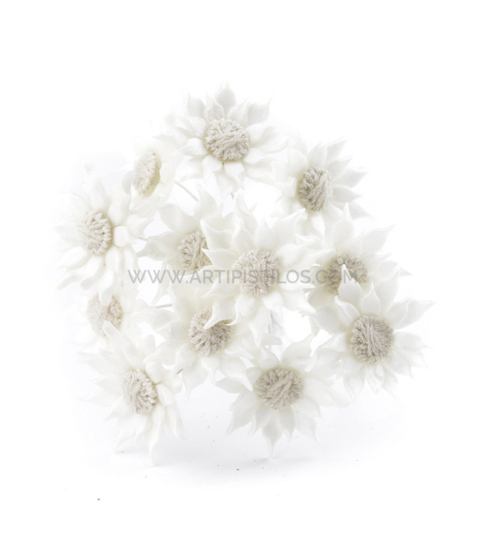 FLEUR DE PORCELAINE FROIDE
