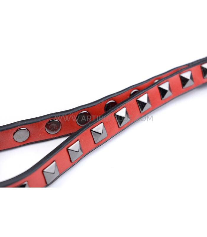 SAC DE TRANSPORT "CORINTO"