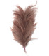 ASSEMBLAGE DE PLUMES DE COU DE CORBEAU