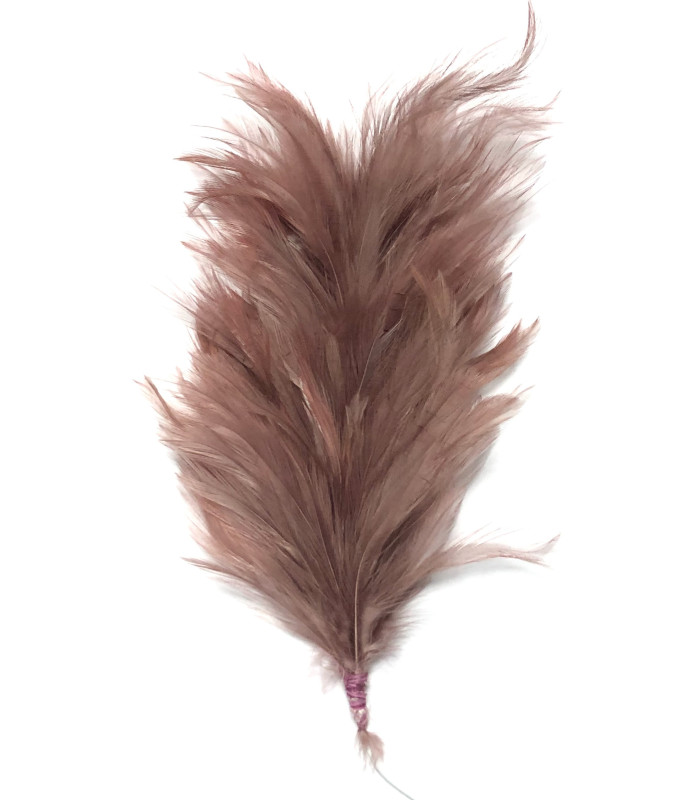 ASSEMBLAGE DE PLUMES DE COU DE CORBEAU