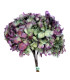 Hortensia préservé naturel