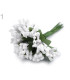 BOUQUET 12 PISTILS "ATLAS"