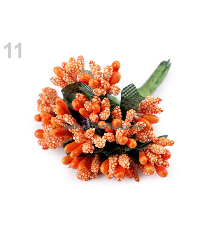 BOUQUET 12 PISTILS "ATLAS"