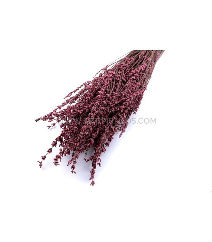 BOUQUET DE LAVANDE CONSERVÉ ET AROMATISÉ "VISEU"
