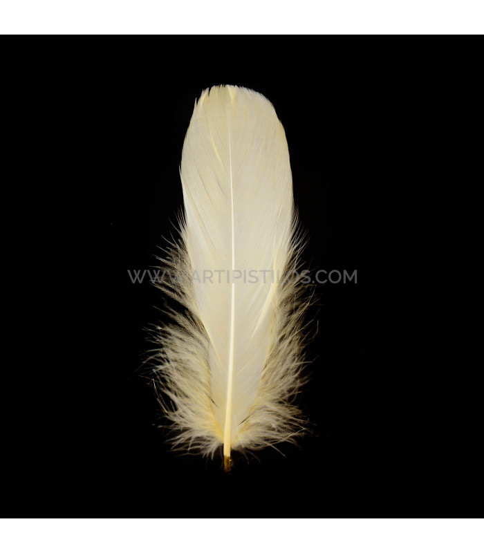 PLUME DE CANARD 15 CMS.