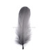 PLUME DE CANARD 15 CMS.