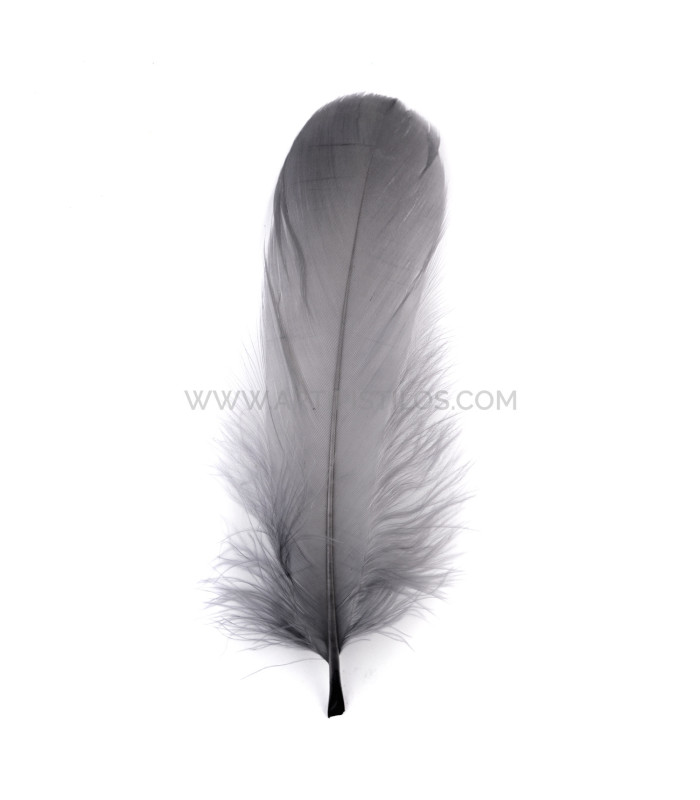 PLUME DE CANARD 15 CMS.