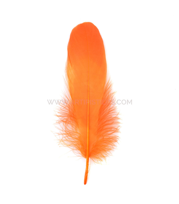 PLUME DE CANARD 15 CMS.