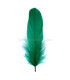 PLUME DE CANARD 15 CMS.