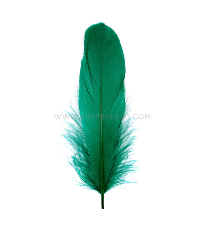 PLUME DE CANARD 15 CMS.