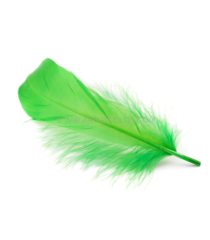 PLUME DE CANARD 15 CMS.